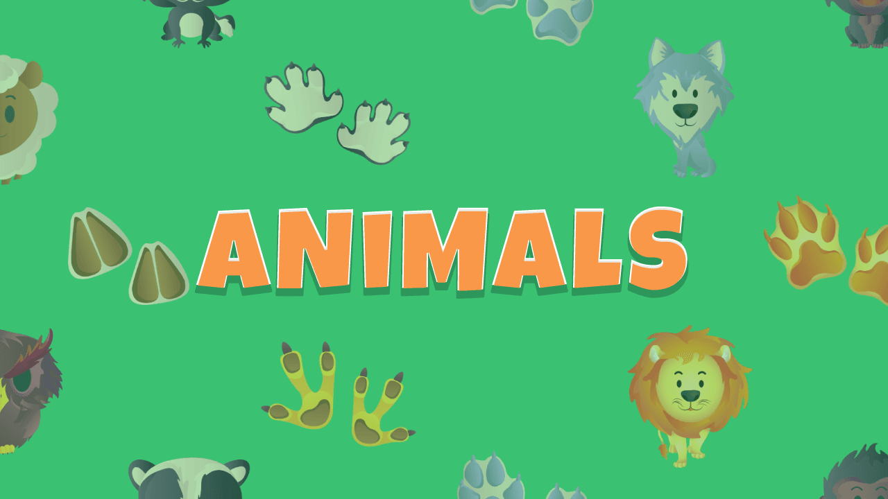 Animals